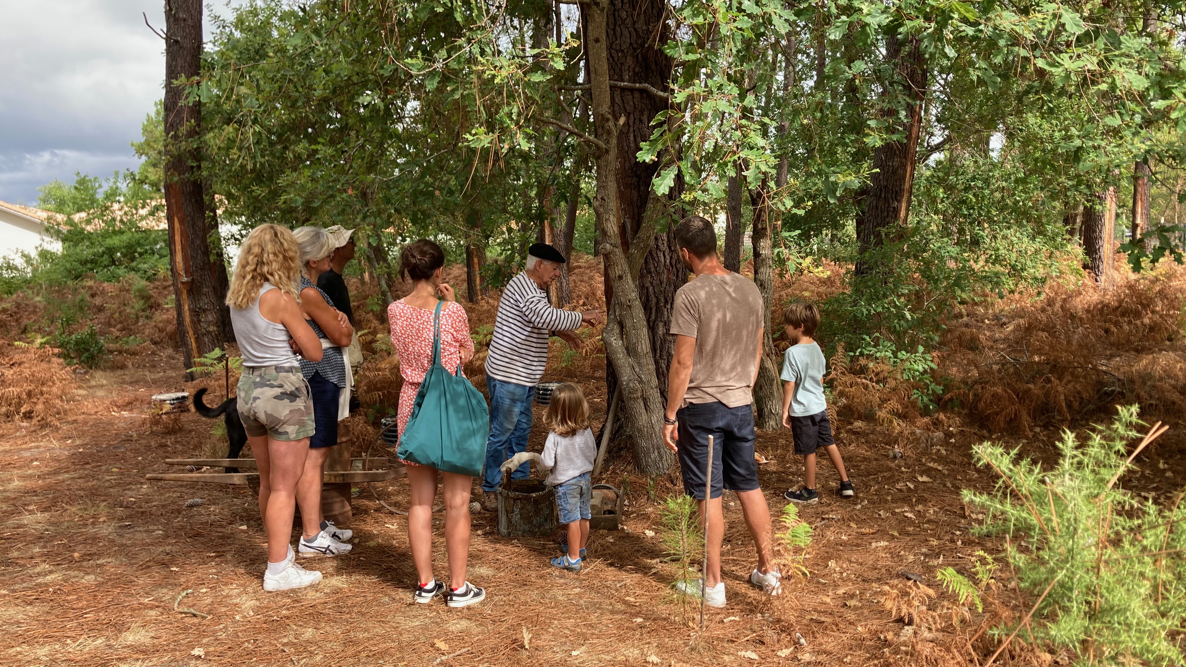 Conservatoire des Landes de Gascogne, Sanguinet - photo 12