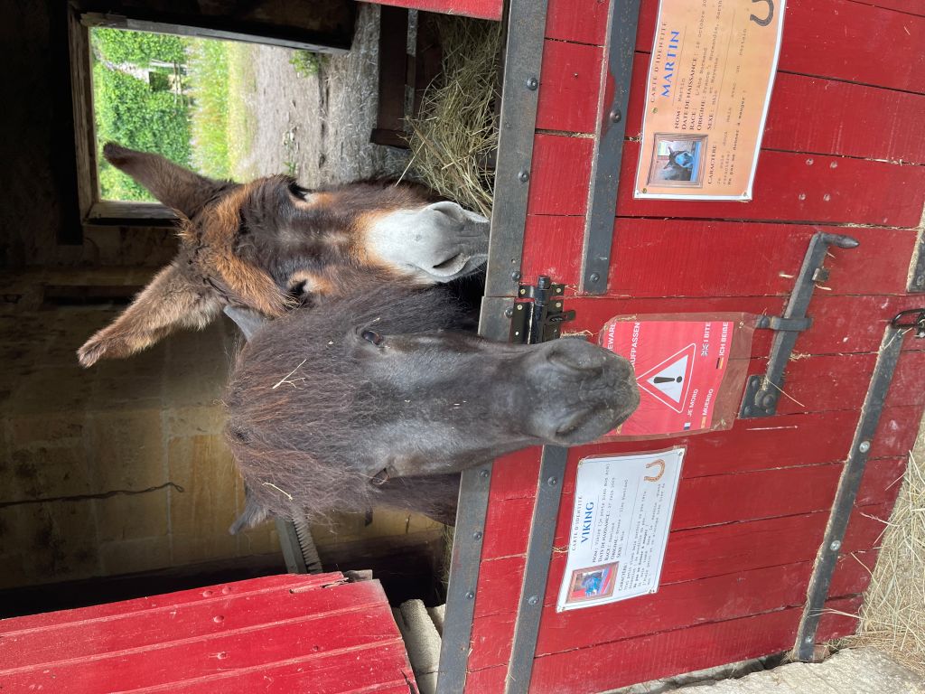 Château et Tour Michel de Montaigne