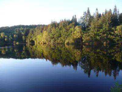 Hameau de gîtes - n°642 " Cèpes" - photo 2