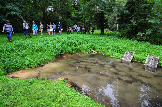 A Bostens, petit circuit des 9 fontaines, Bostens - photo 5