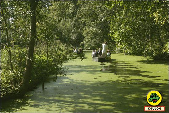 Embarcadère "La Trigale" - photo 5