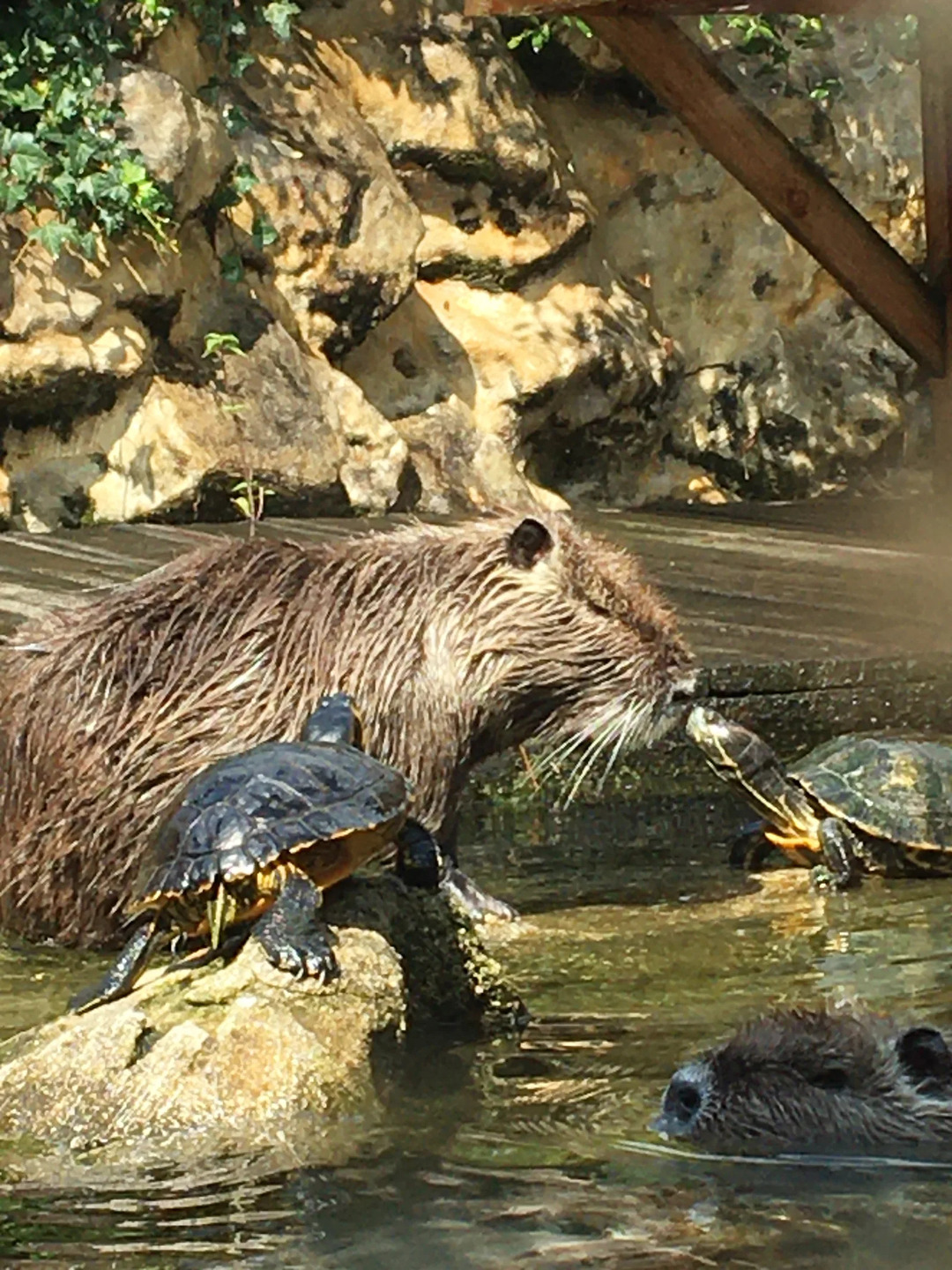 Aquarium du Périgord Noir - Univerland Le Bugue - photo 5