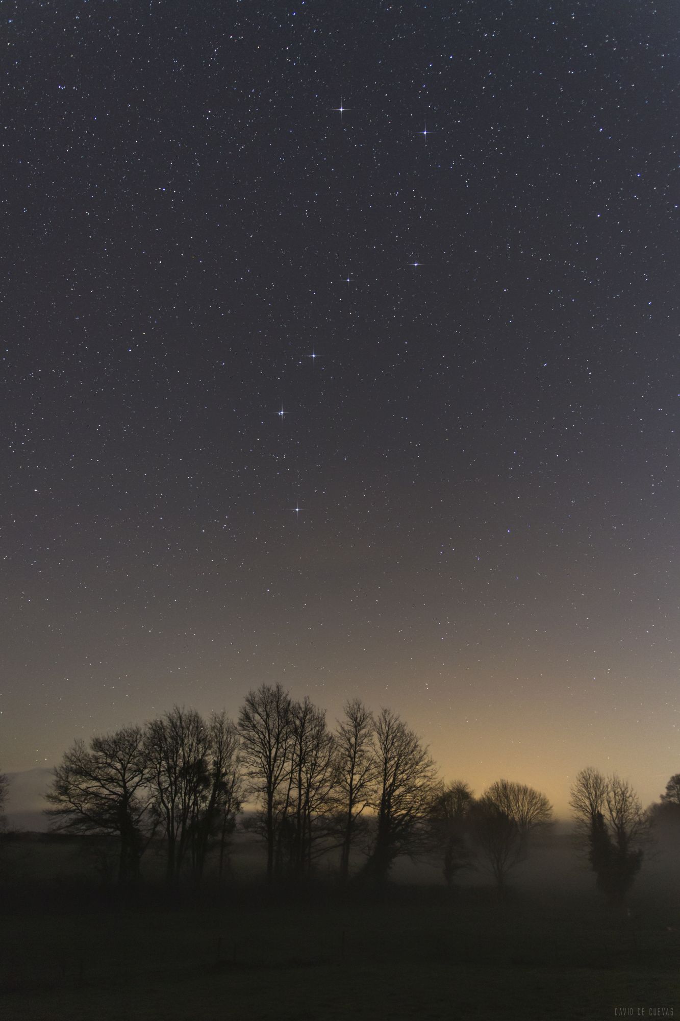 Les Bulles d'O - photo 4