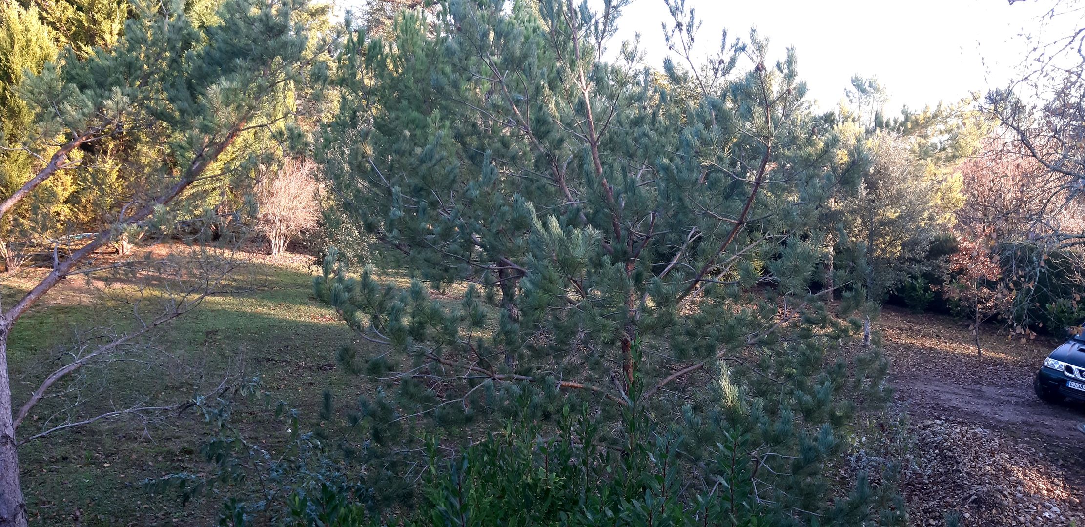 Suite Maraval, Trélissac - photo 12