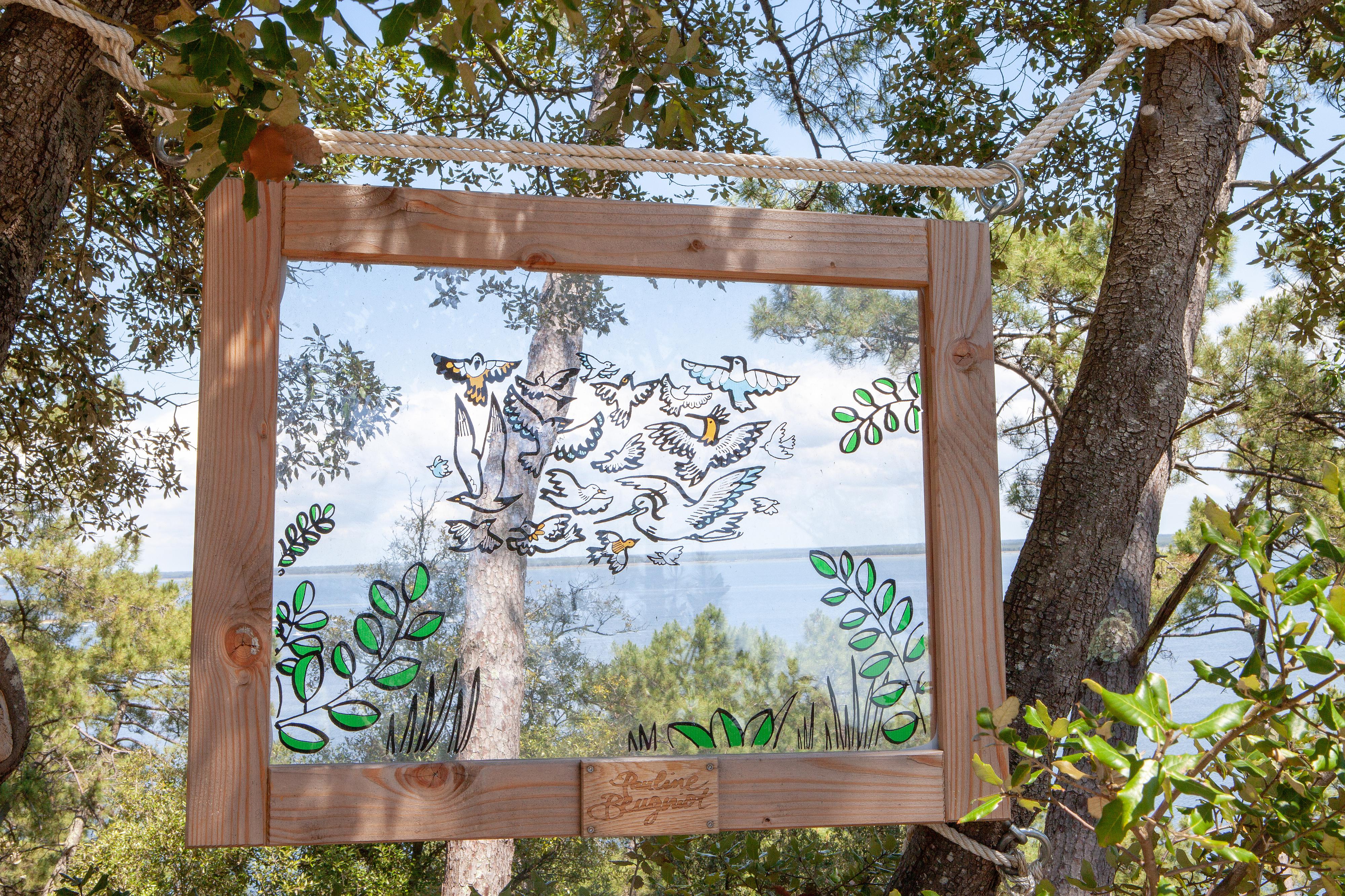 Le sentier du Lac à Maubuisson, Carcans - photo 5