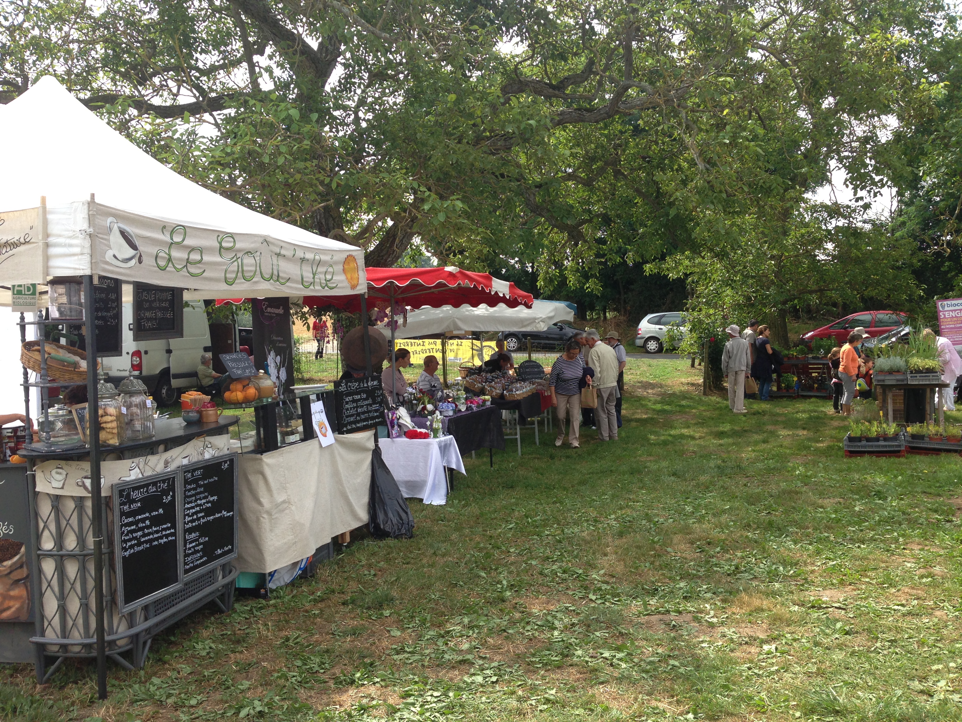 Jardin pédagogique et biologique des Trois Noyers - photo 5