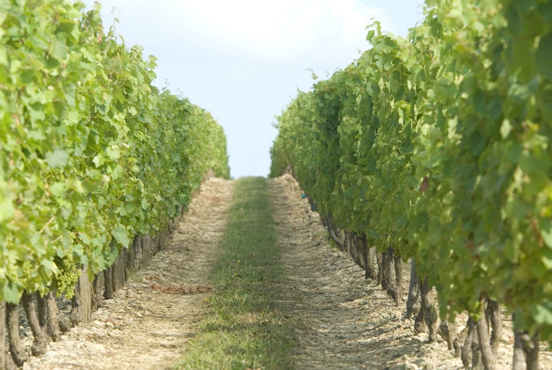 Domaine de l'Epinay