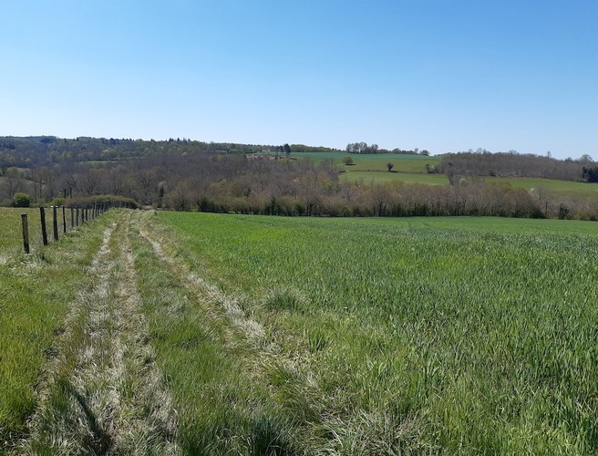 Au Fil de la Briance, Vicq-sur-Breuilh - photo 3