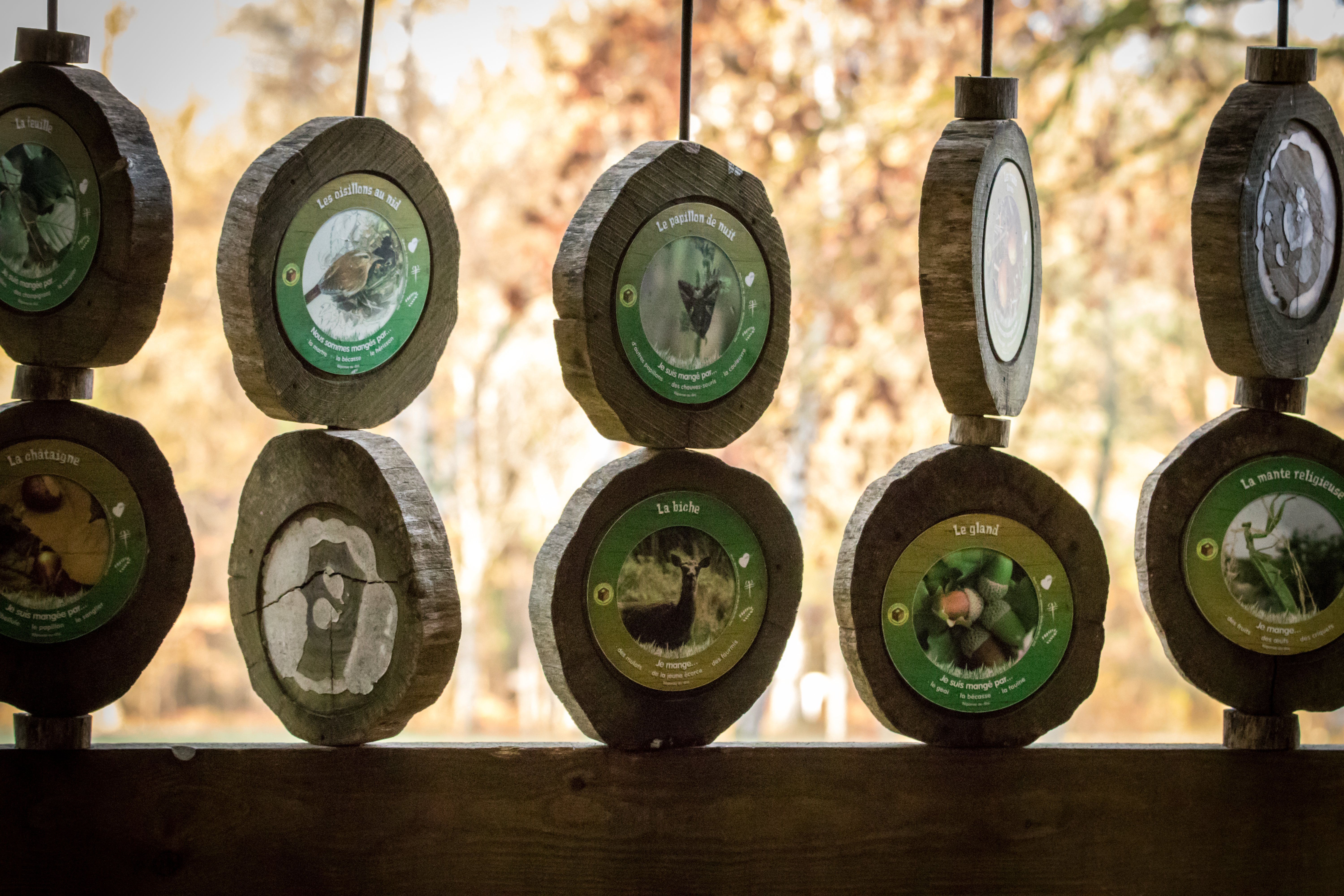 Les Sentes de Fondoire, Guesnes