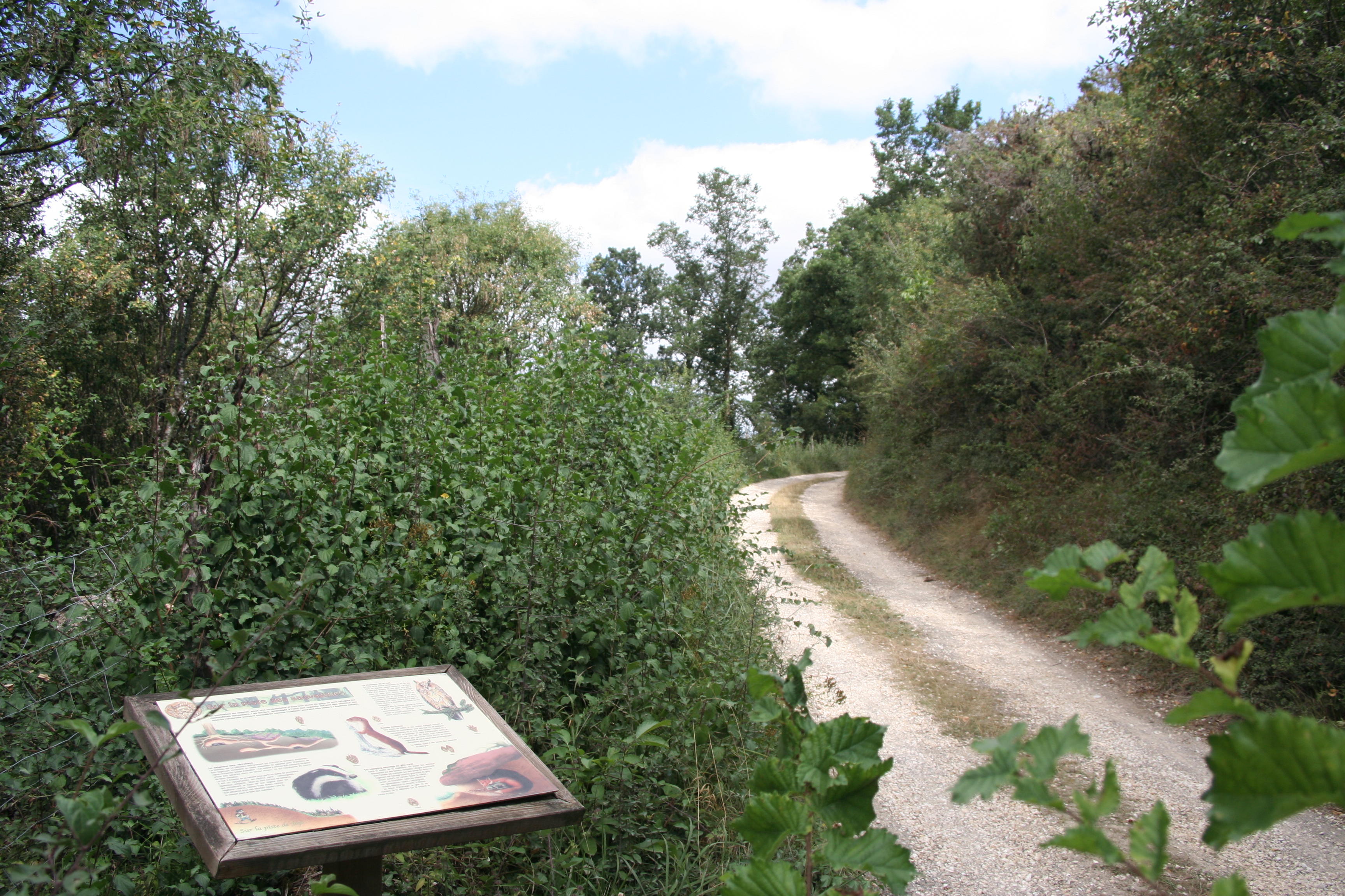 Le Pé de Jojo, Loudun - photo 5