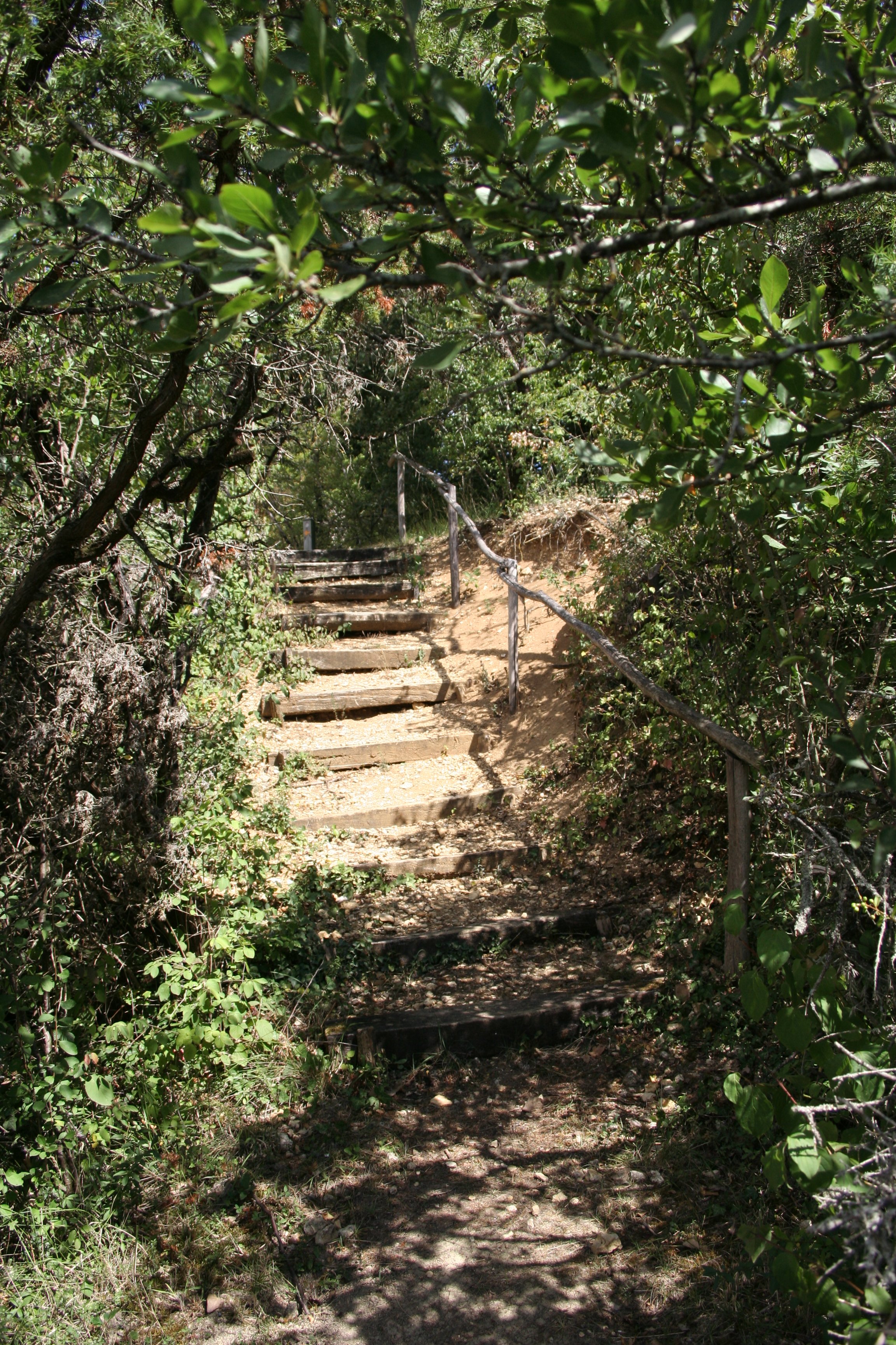 Le Pé de Jojo, Loudun - photo 3