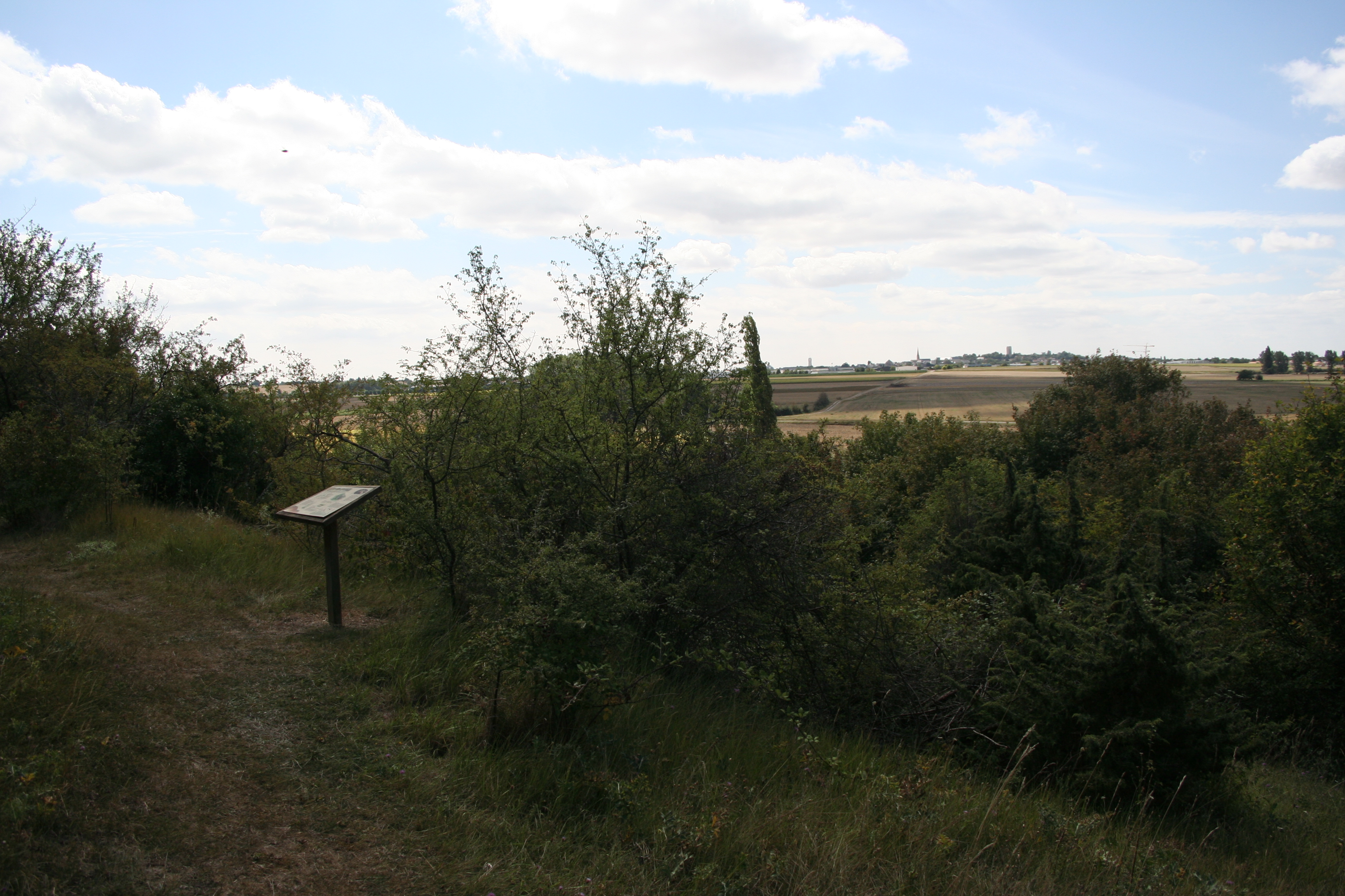Le Pé de Jojo, Loudun - photo 2