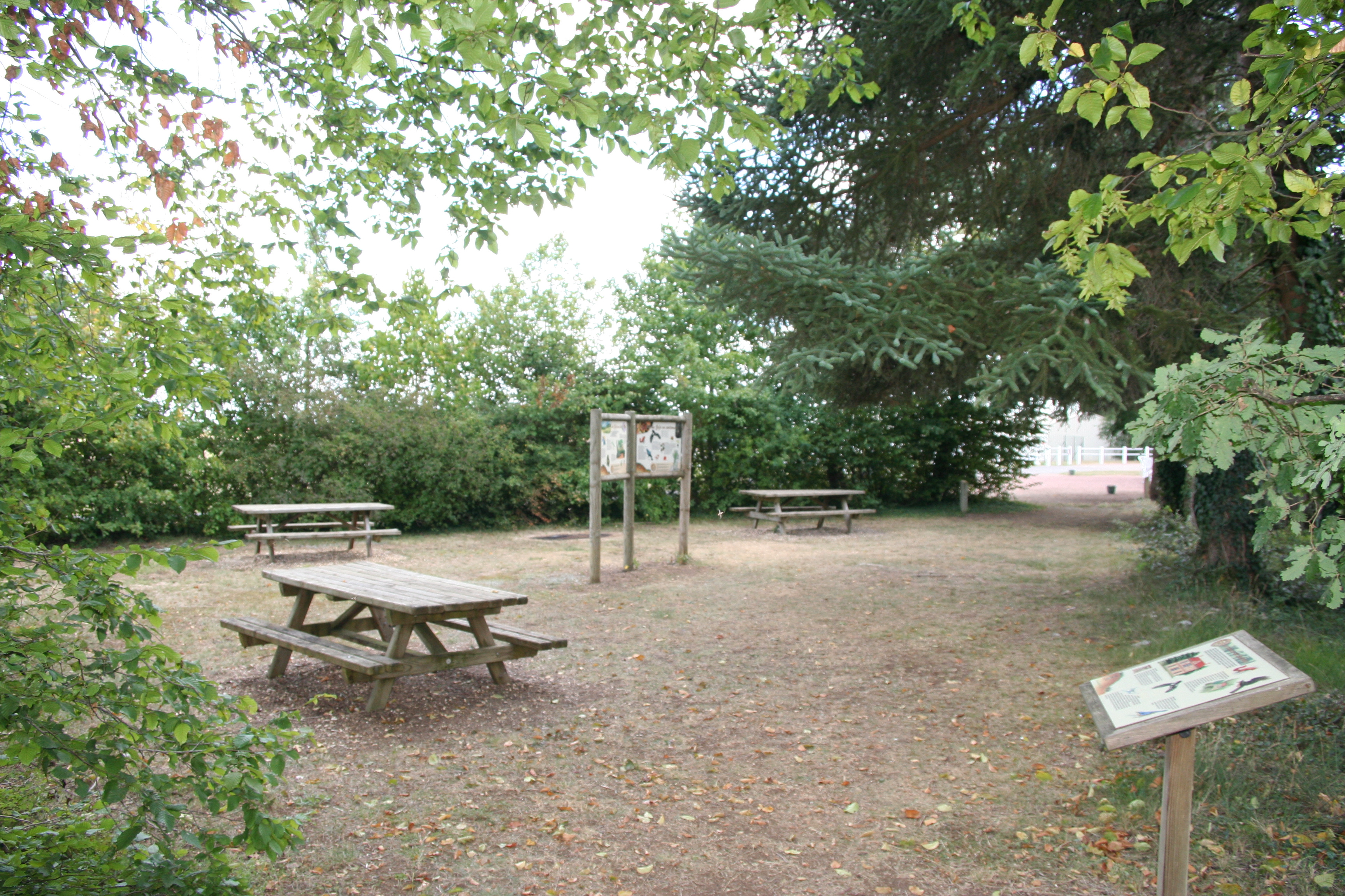 Le Pé de Jojo, Loudun - photo 4