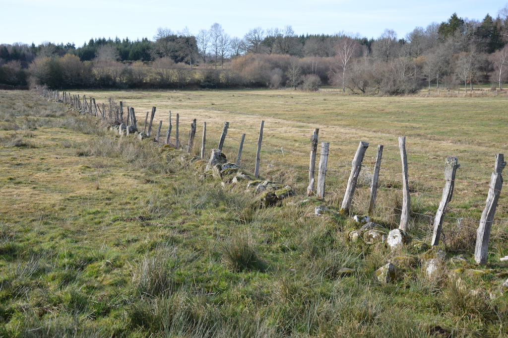 Circuit de randonnée : autour des étangs — photo 3