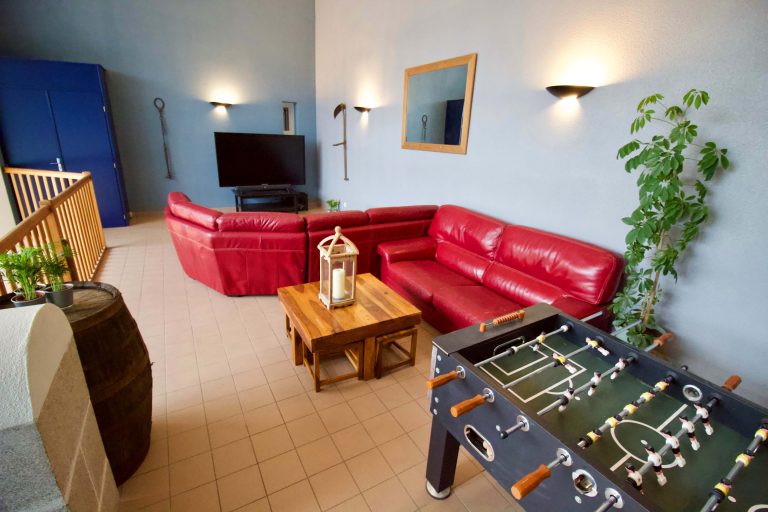 Gîte de la Nature - VéloGîtes, Availles-Limouzine - photo 5