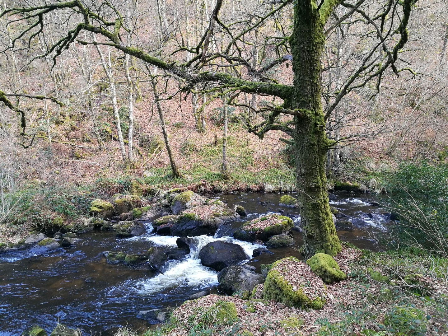 Circuit Pédestre N°21 CC : "Sentier de découverte de la Rigole du Diable", Le Monteil-au-Vicomte - photo 5