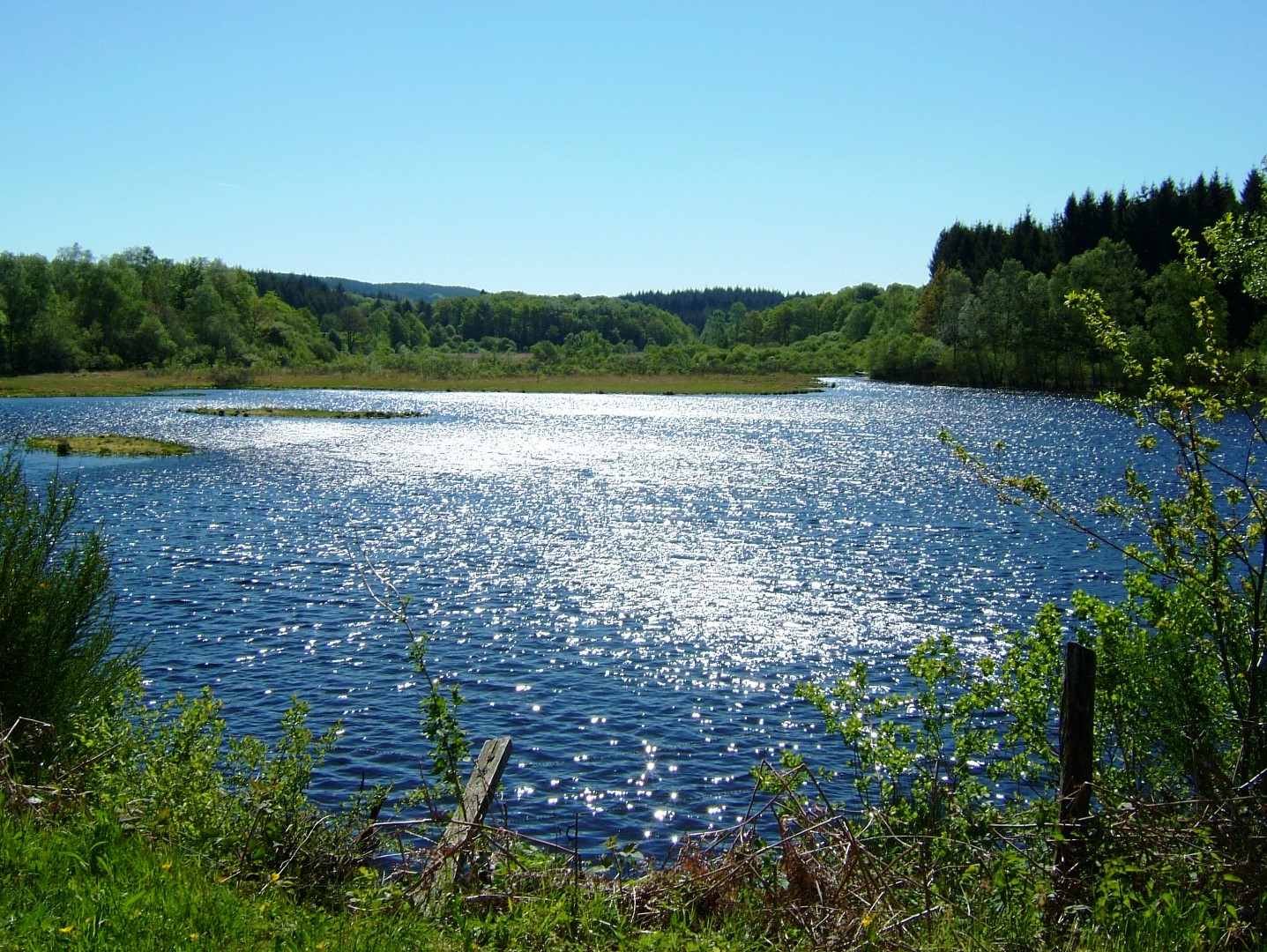 Circuit pédestre N°23 CC:  "Sentier de découverte de la tourbière de l'étang du Bourdeau"