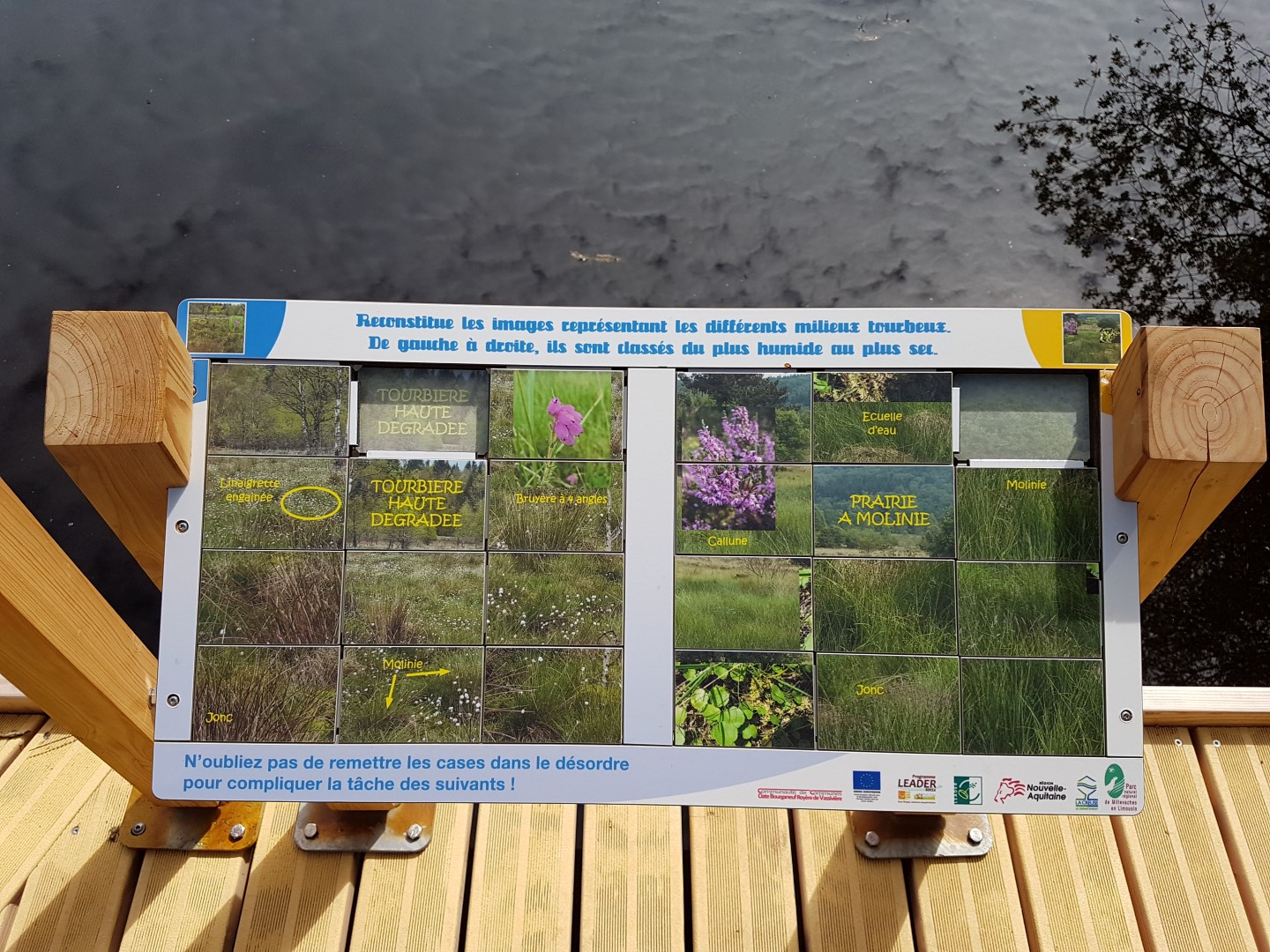 Circuit pédestre N°23 CC:  "Sentier de découverte de la tourbière de l'étang du Bourdeau", Saint-Pardoux-Morterolles - photo 3