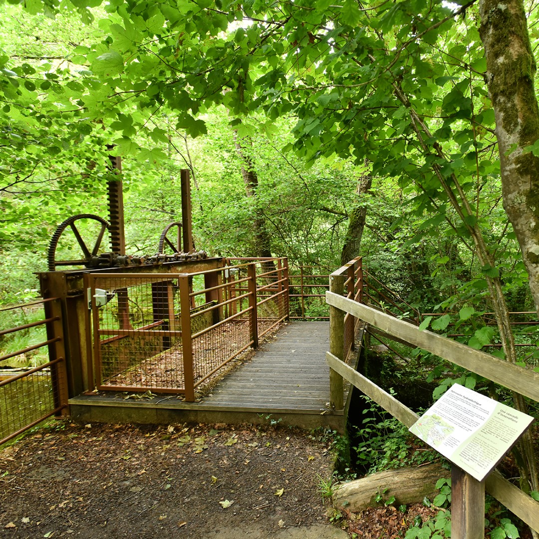 Circuit Pédestre N°67 : "Sentier de découverte de la cascade des Jarrauds", Saint-Martin-Château - photo 2