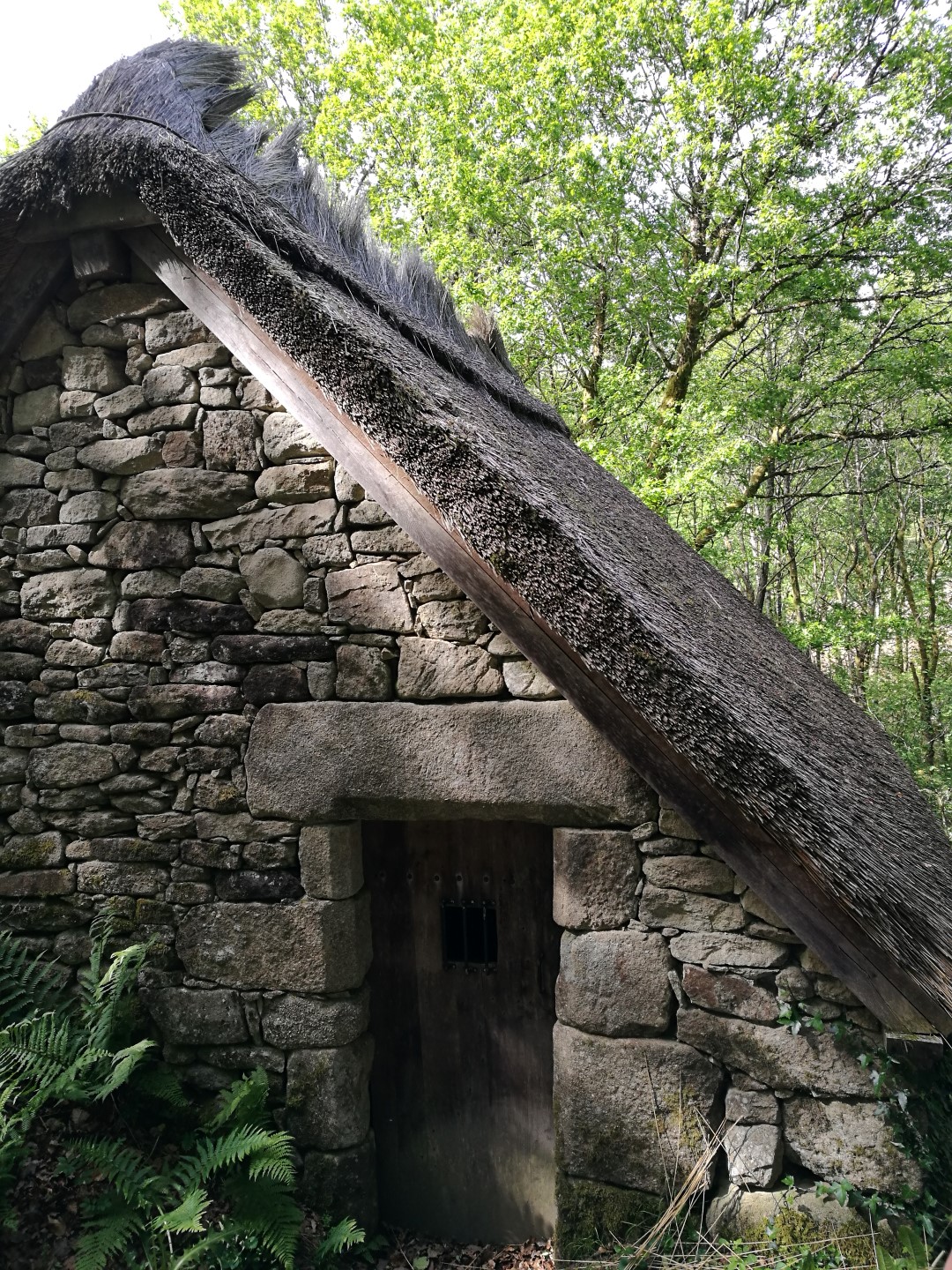 Circuit Pédestre N°56 : "Sentier de découverte des Champs de pierres et cascades d'Augerolles", Saint-Pardoux-Morterolles - photo 4