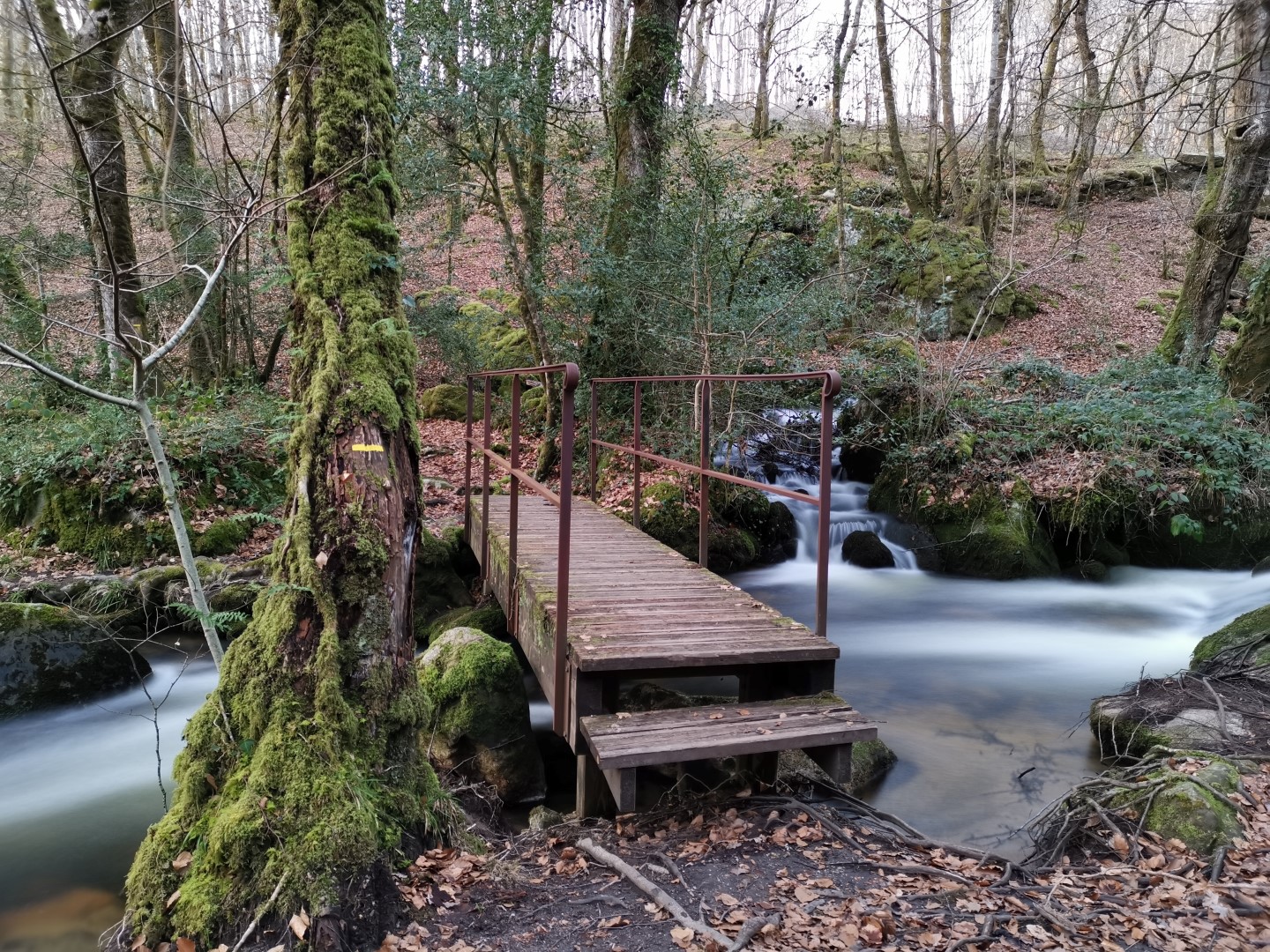 Circuit Pédestre N°56 : "Sentier de découverte des Champs de pierres et cascades d'Augerolles", Saint-Pardoux-Morterolles - photo 2