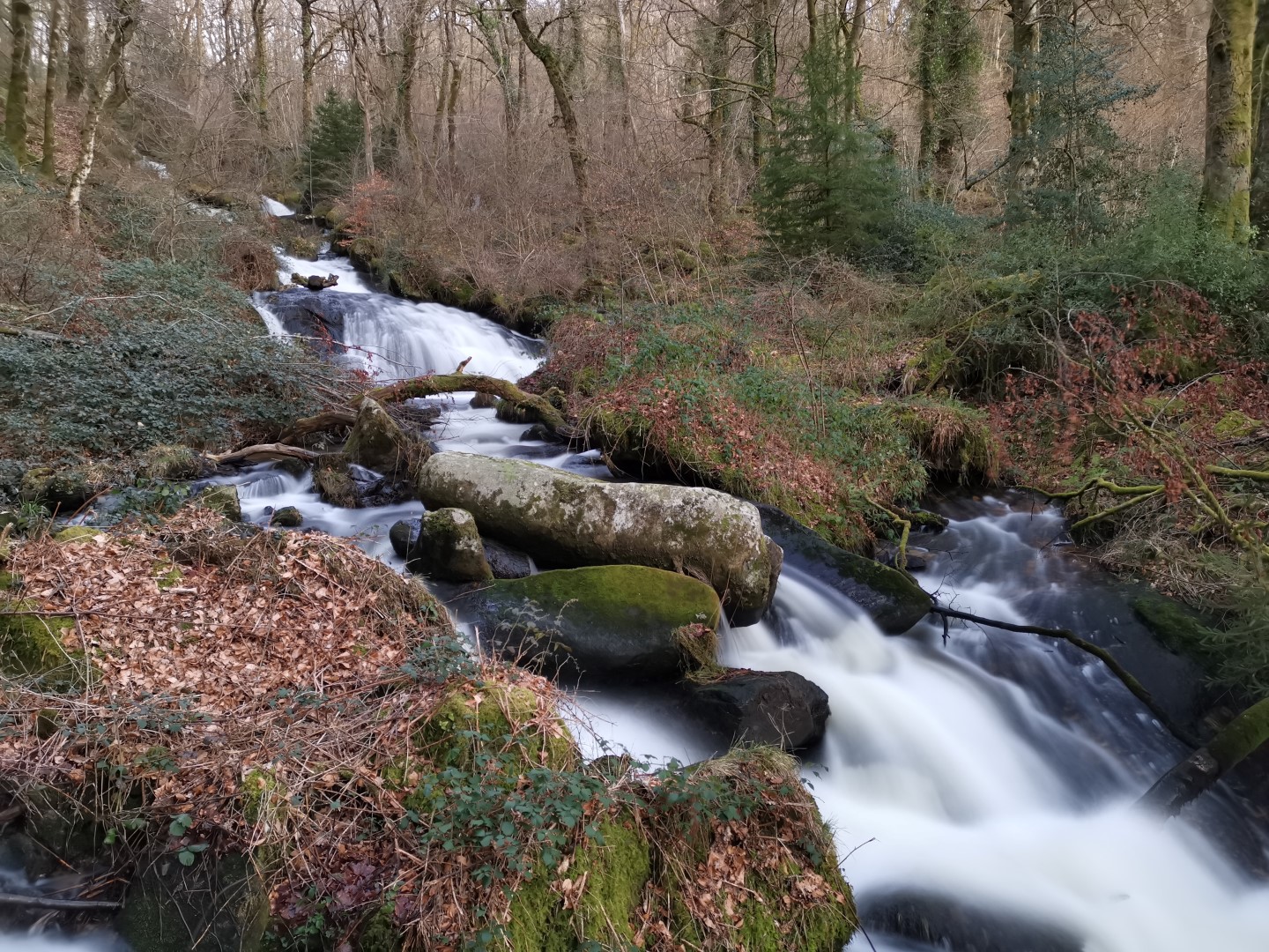 Circuit Pédestre N°56 : "Sentier de découverte des Champs de pierres et cascades d'Augerolles", Saint-Pardoux-Morterolles - photo 3