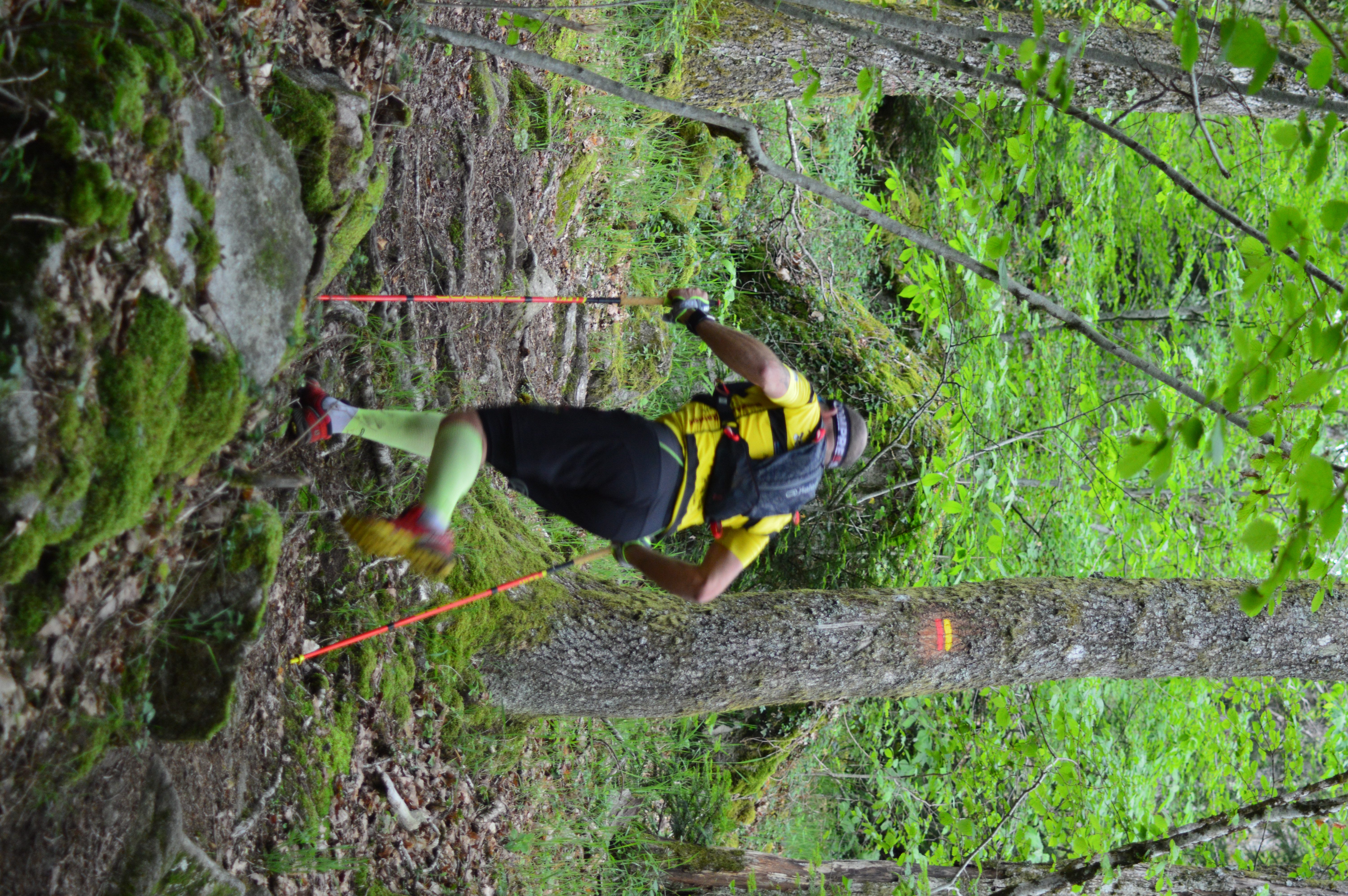 Circuit Trail n°7 : les bois de Sainte Feyre