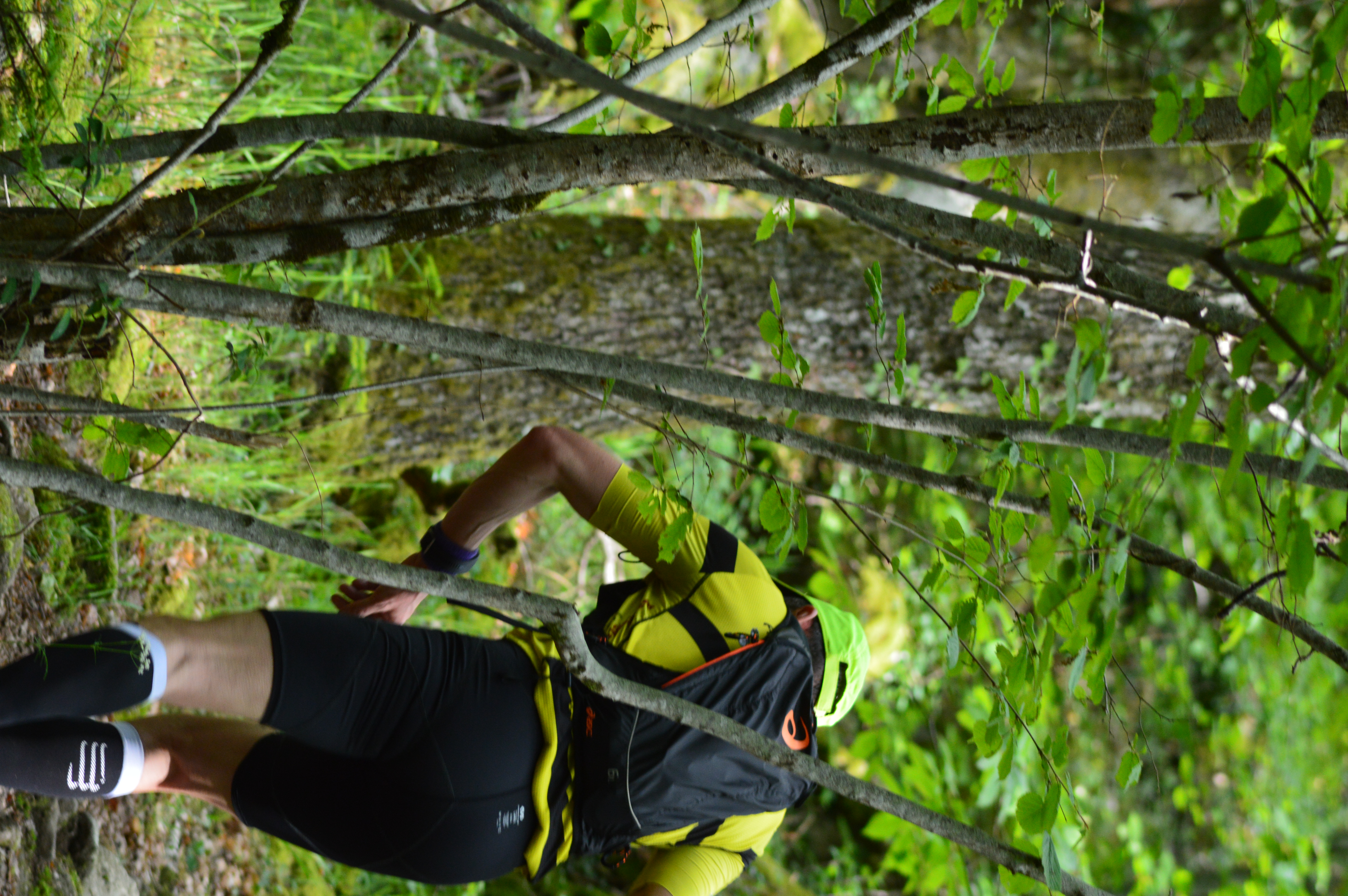 Circuit Trail n°9 : des carrières au Parc Animalier