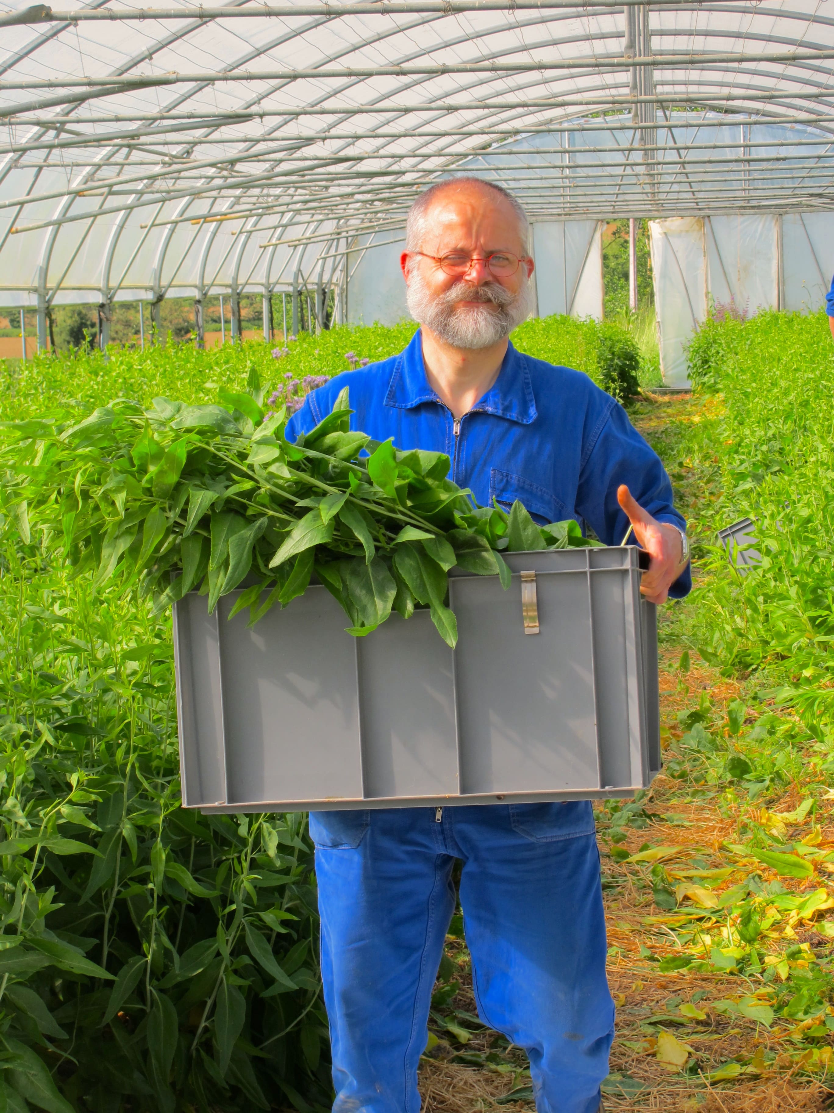 Tèrra Aventura: parcours mystère avec objet La forme, ça se cultive ! - photo 3