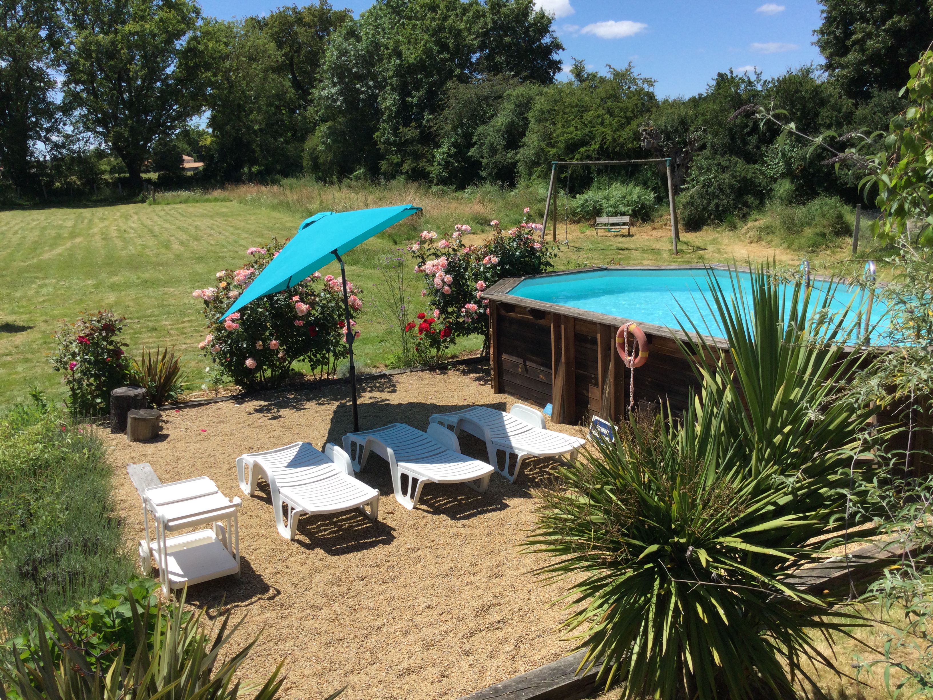 The Bird House - photo 4