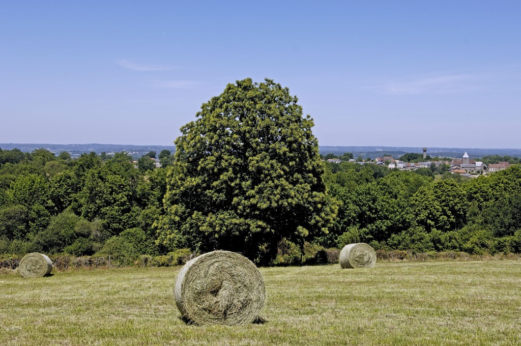 Circuit route - Détours et paysages impressionnistes, Saint-Sébastien - photo 4