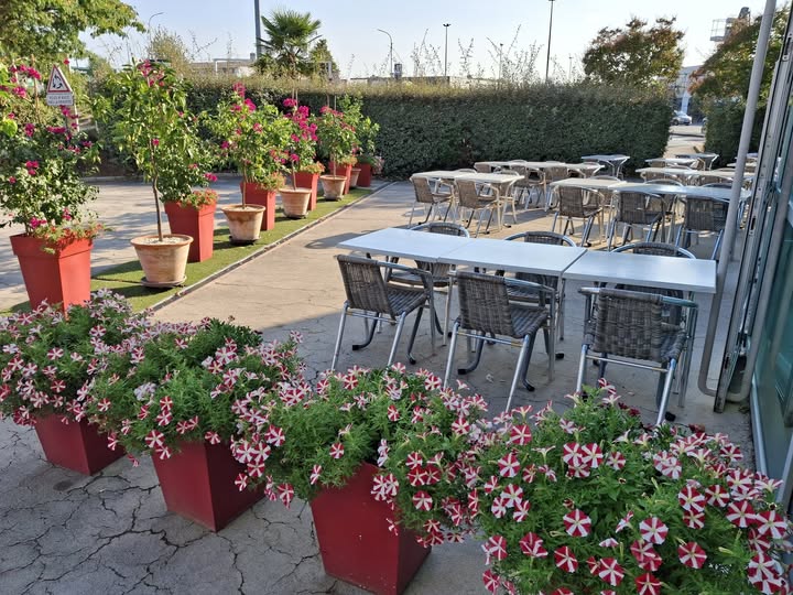 Le Patio