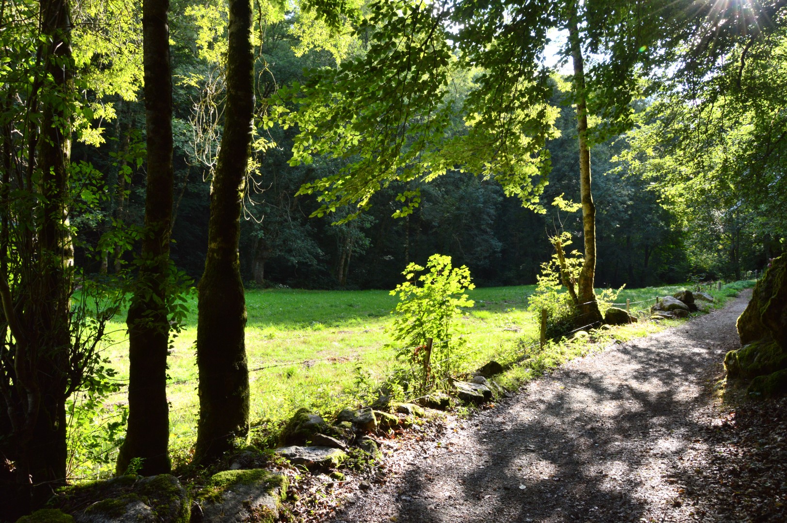 Circuit Pédestre N°42 : "Les gorges du Verger"