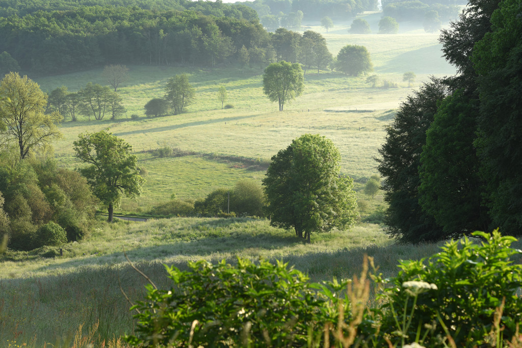 Boucle à vélo N°29 : Remontez dans le temps !, Jarnages - photo 2
