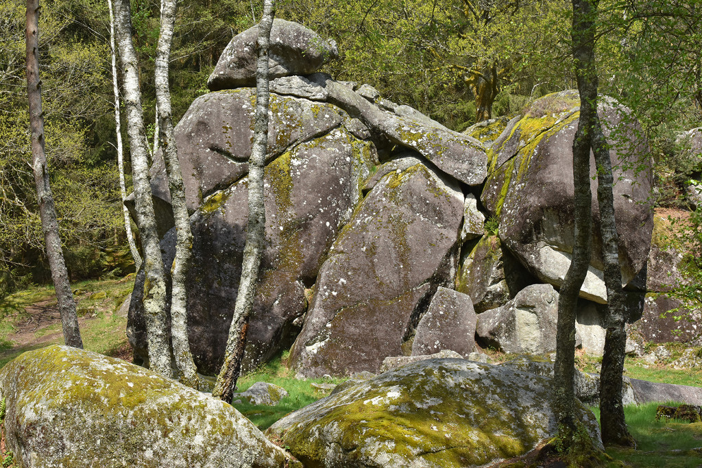 Circuit Route - De Bourganeuf, cité médiévale au Lac de Vassivière, Bourganeuf - photo 6