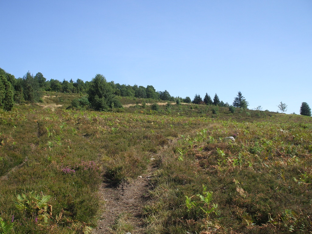 Circuit Route - De Bourganeuf, cité médiévale au Lac de Vassivière, Bourganeuf - photo 7