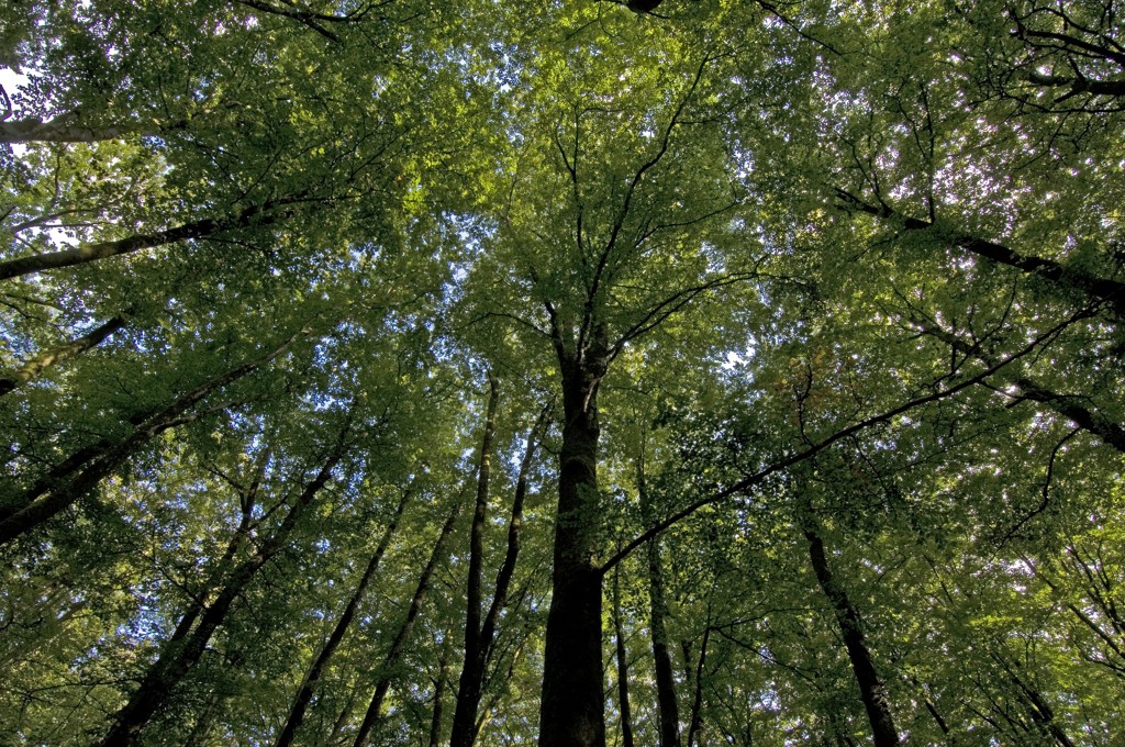 GRP des Monts de Guéret - Boucle du loup