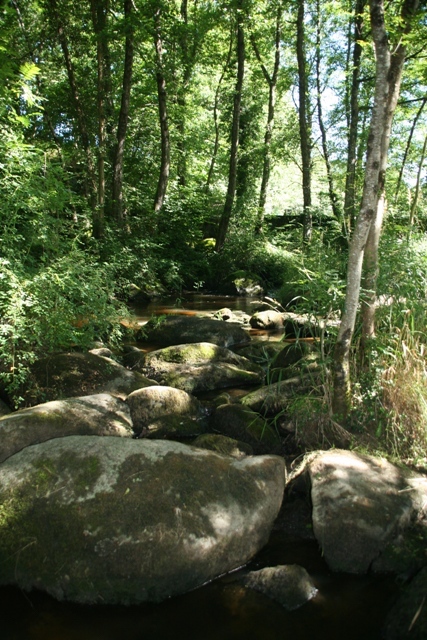 Vallée de la Gartempe Boucle Locale 2 — photo 3