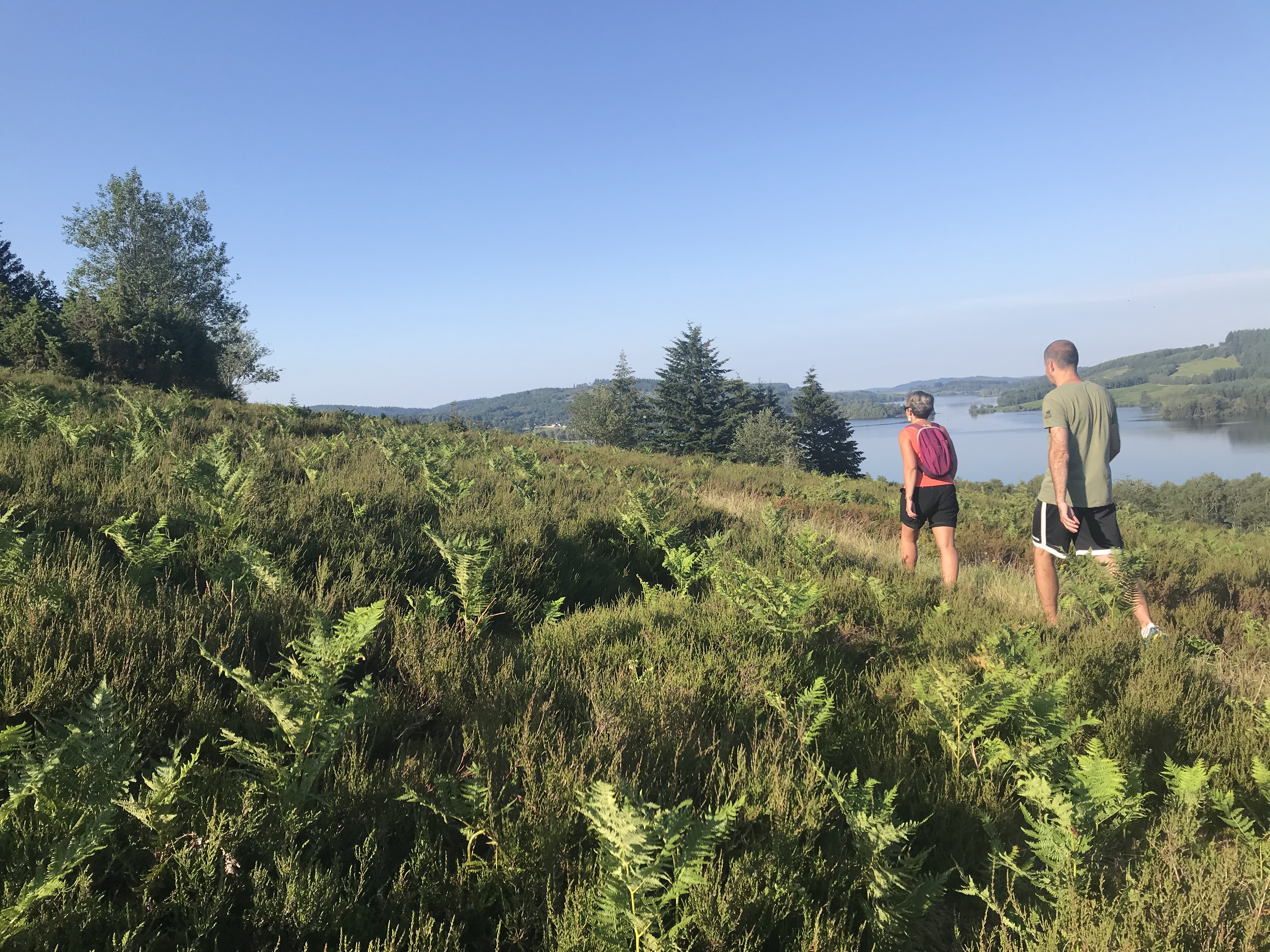 Tour du lac de Vassivière, "Sentier de rives"