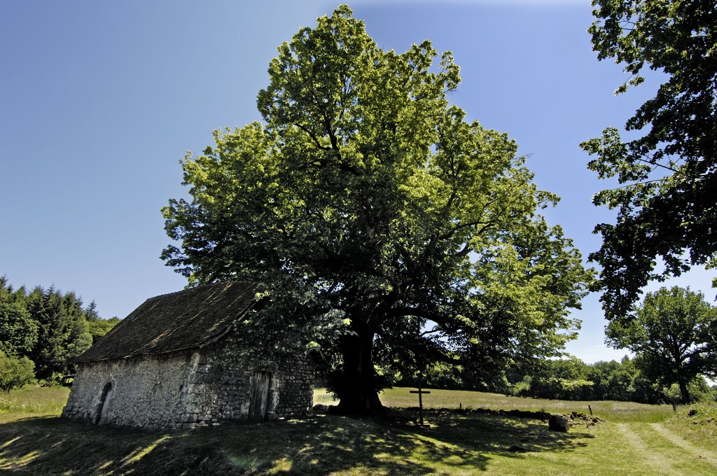 La Petite Reine Dunoise Boucle locale 11 — photo 3
