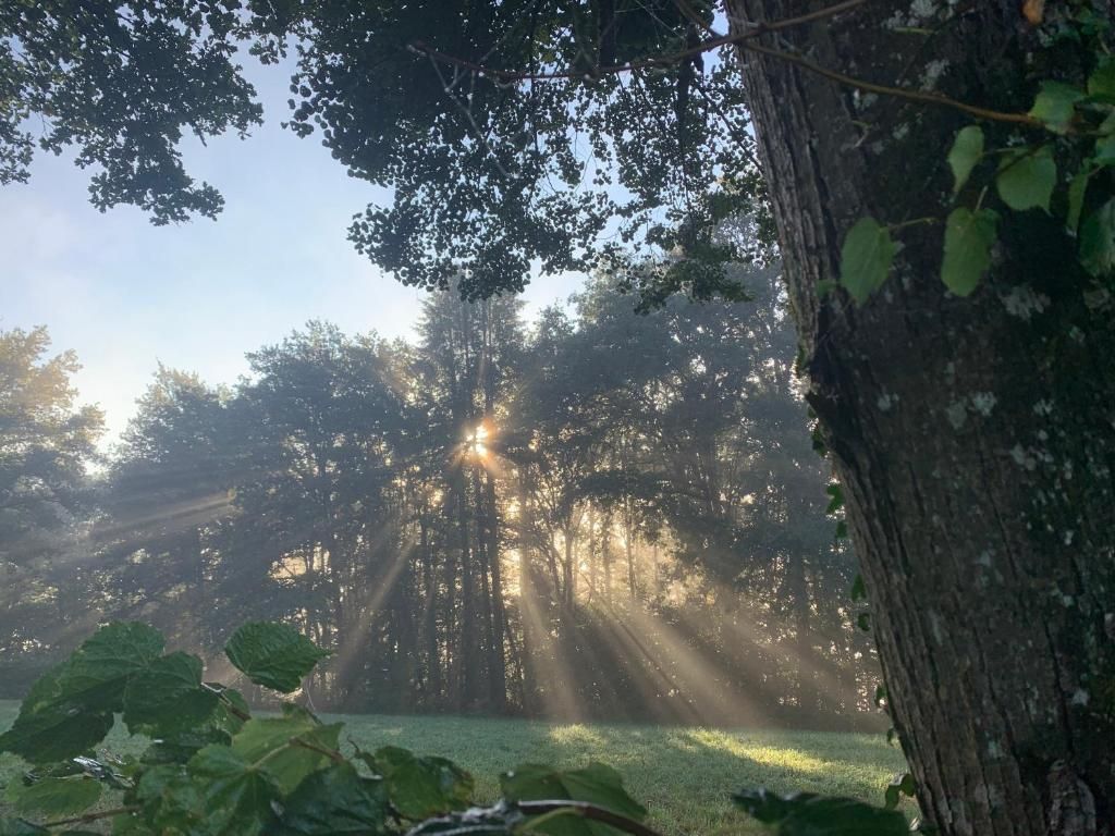 Meublé 5Arsouze, Châtelus-le-Marcheix - photo 21