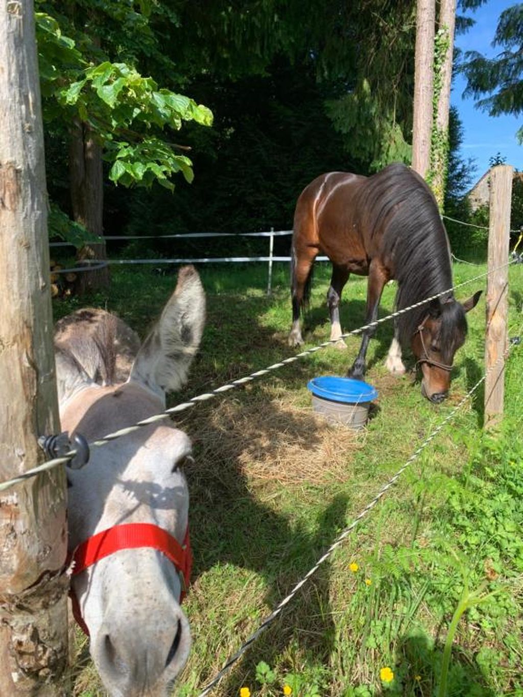 Meublé 5Arsouze, Châtelus-le-Marcheix - photo 9