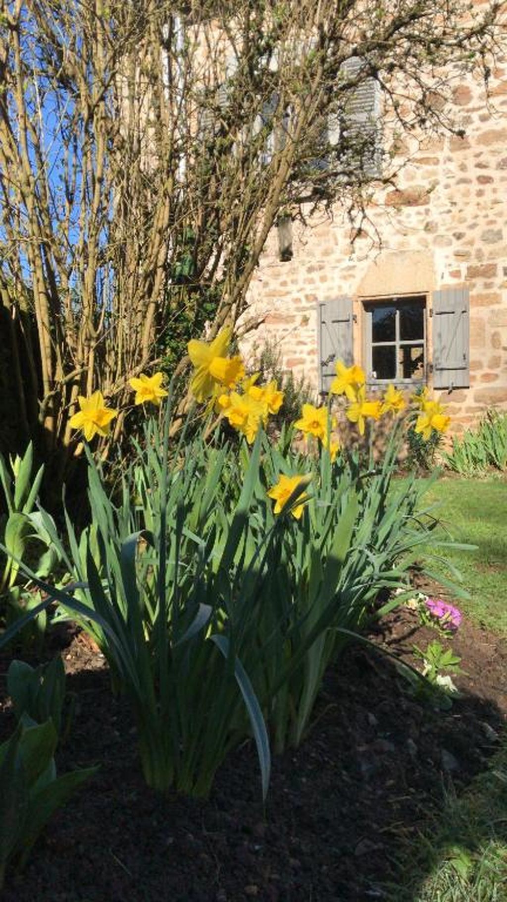 Meublé 5Arsouze, Châtelus-le-Marcheix - photo 8