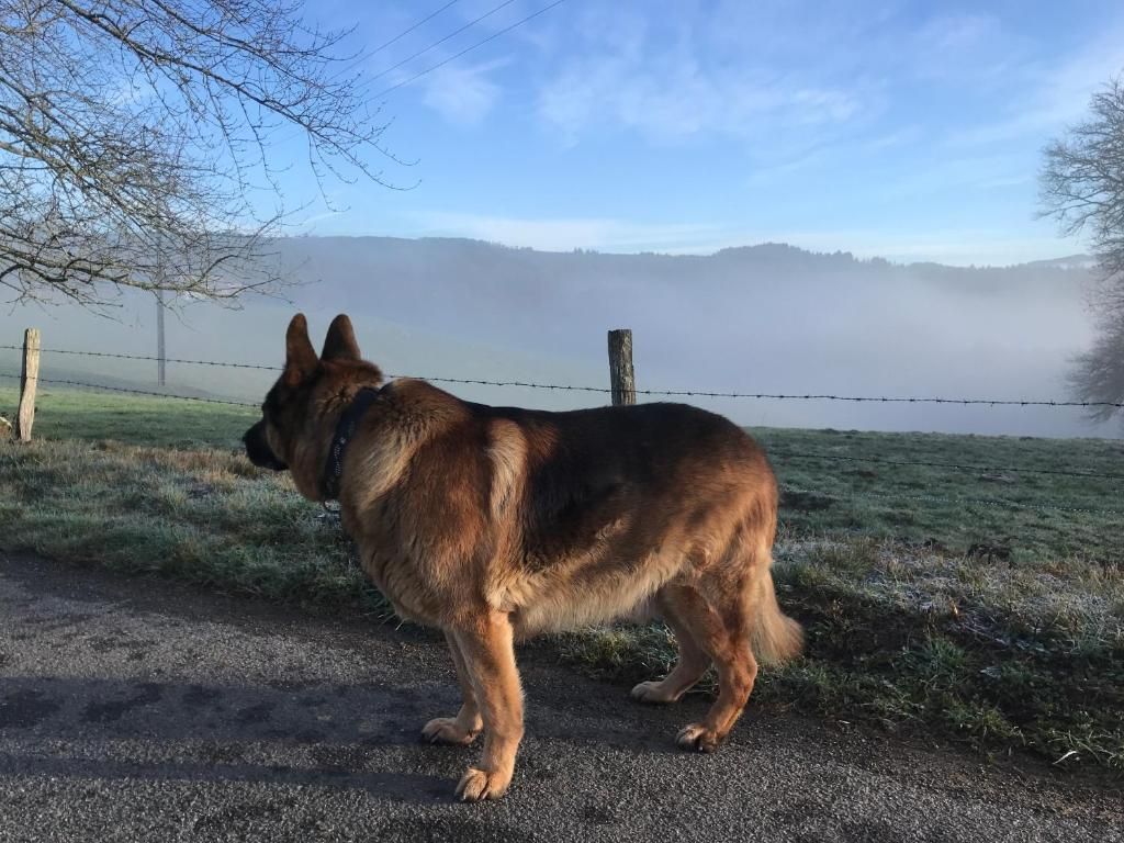 Meublé 5Arsouze - photo 4