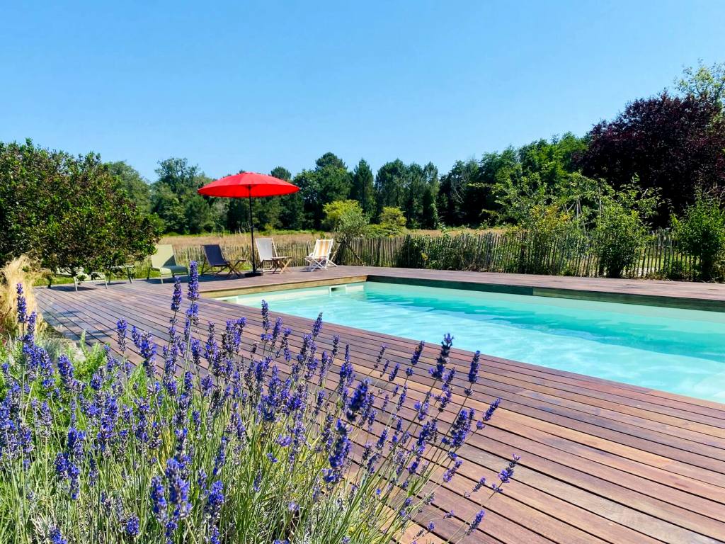 Ferme Landaise, Antagnac - photo 16