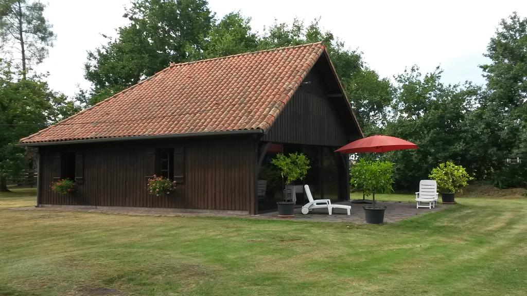 La Maison Lotte - photo 5