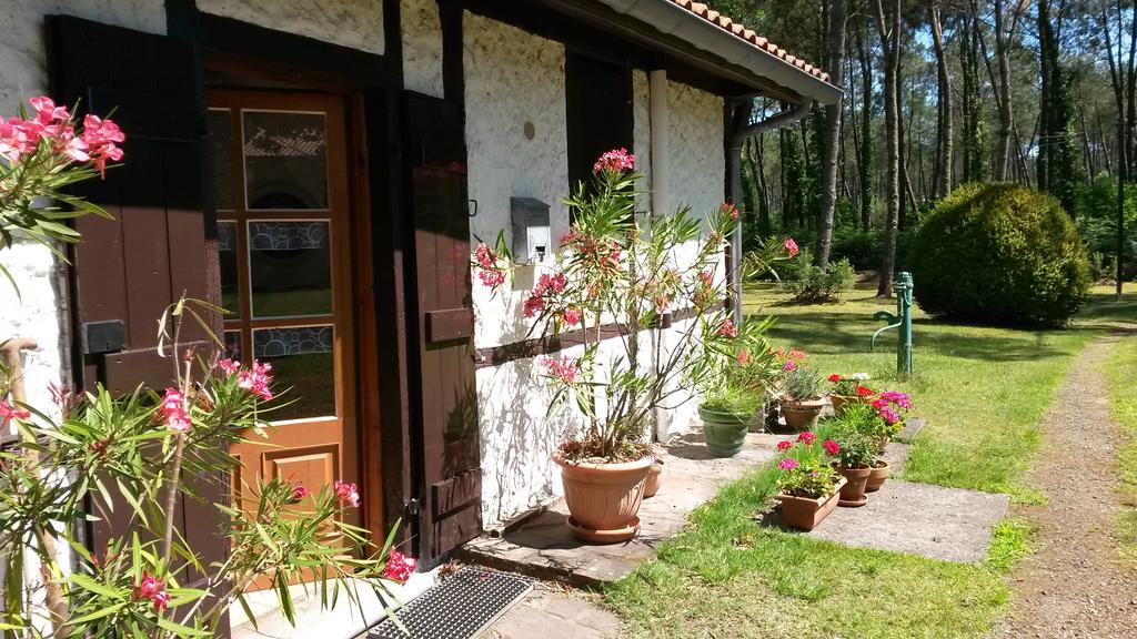 La Maison Lotte, Rion-des-Landes - photo 16