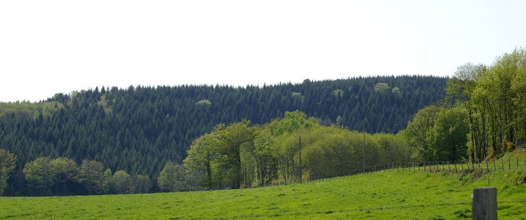 Circuit pédestre Entre bois et vallons DP1, Dun-le-Palestel - photo 2