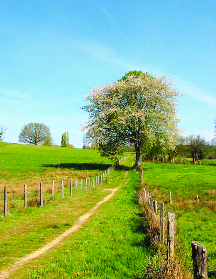 De Pierre et de Bois SD1, Saint-Sulpice-le-Dunois
