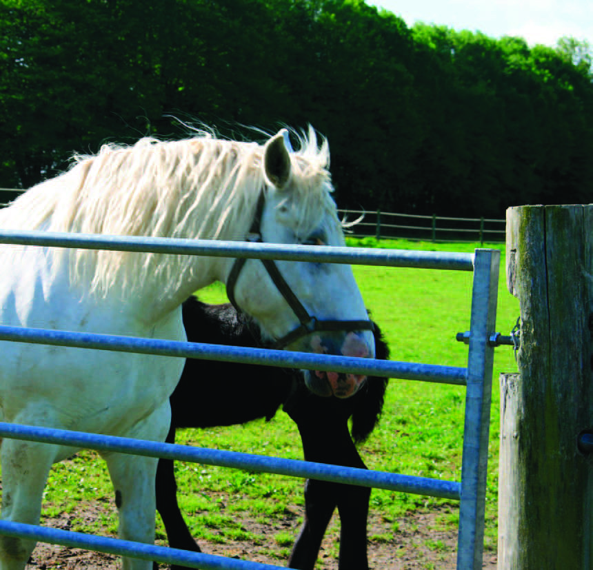 Circuit pédestre Le Gué Cornu VI1, Villard - photo 3